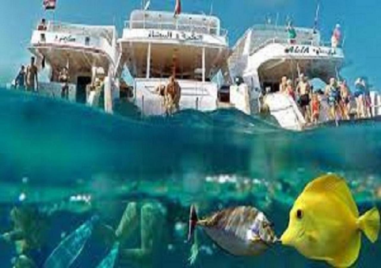 Joynant-Gouna Kite Road-2Room Mangroovy Free Beach Access - Pool View- Hurghada Eksteriør billede